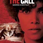 The Call (2013 film)